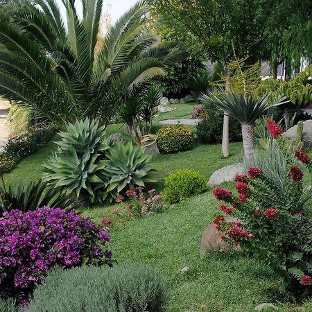 Apartamento Casa Ischitana Forio di Ischia Exterior foto