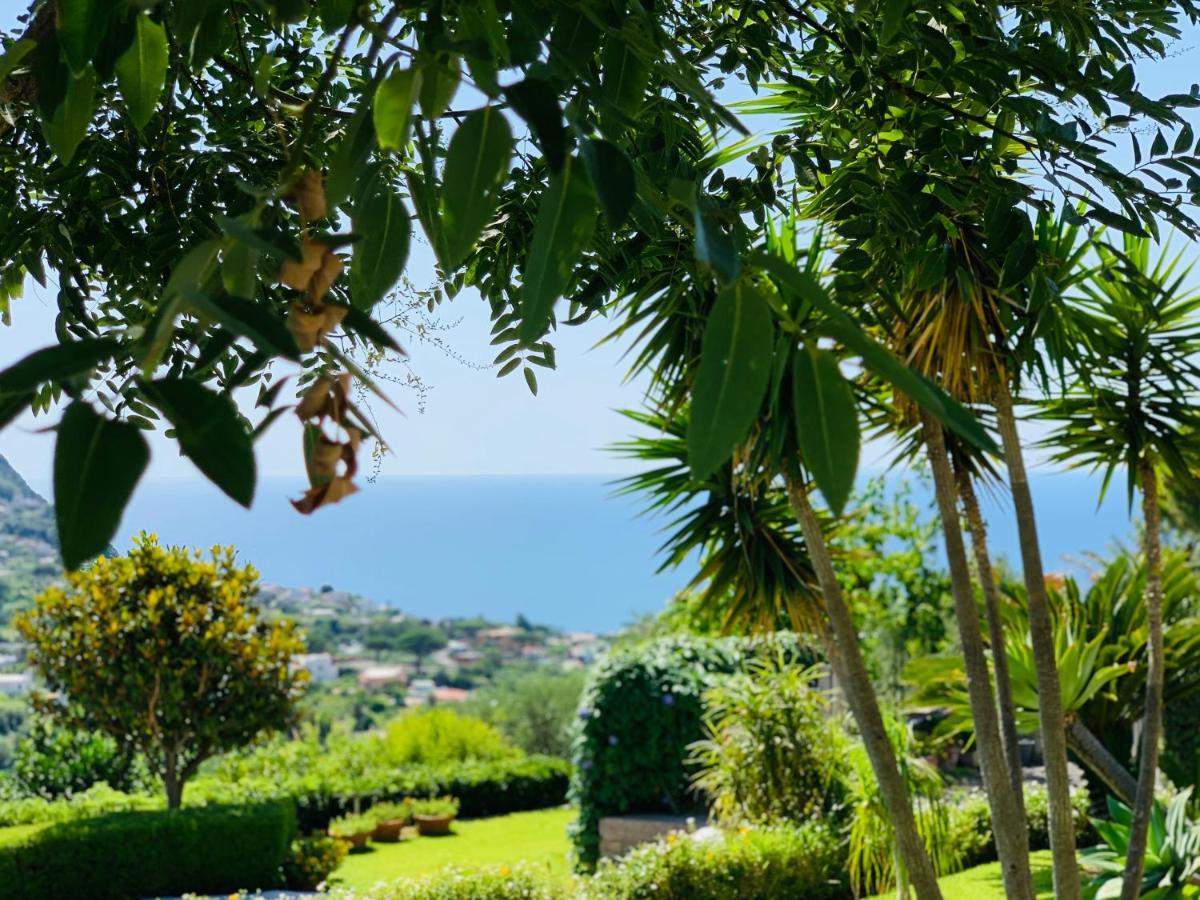 Apartamento Casa Ischitana Forio di Ischia Exterior foto