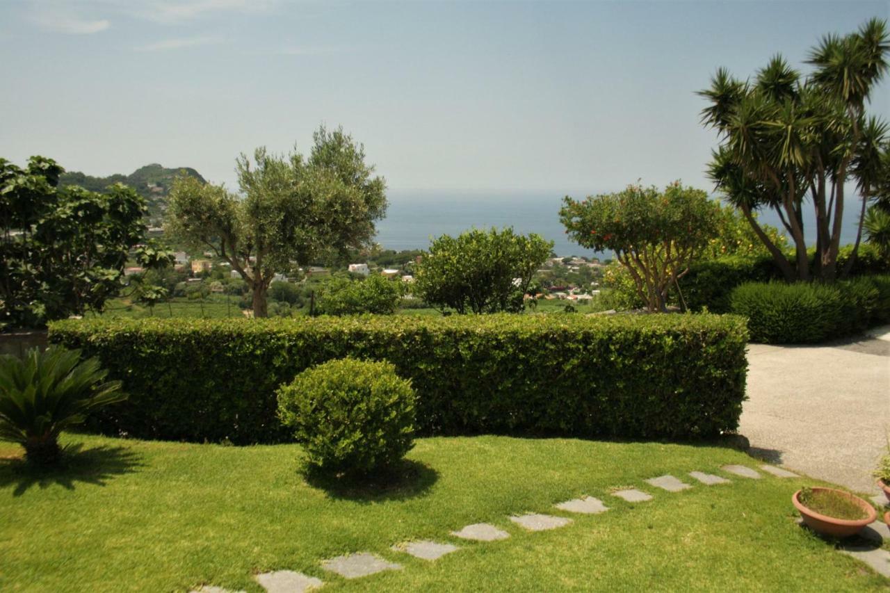 Apartamento Casa Ischitana Forio di Ischia Exterior foto